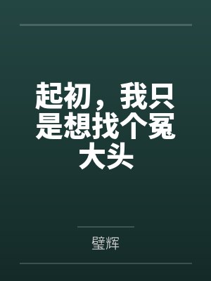 起初，我只是想找個(gè)冤大頭by璧輝