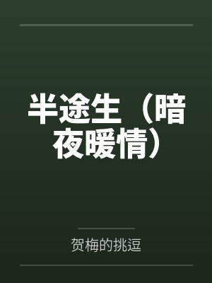 半途生（暗夜暖情）